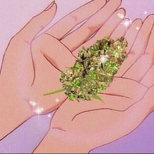 Meet your Posher, Angel